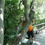 Krka Nationalpark